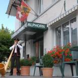 Фотография гостиницы Hotel Alphorn