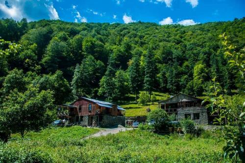 Фотография гостевого дома Korsha