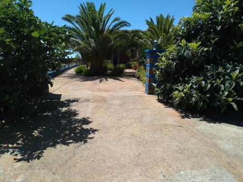 Фотография гостевого дома Casa Buganvillas