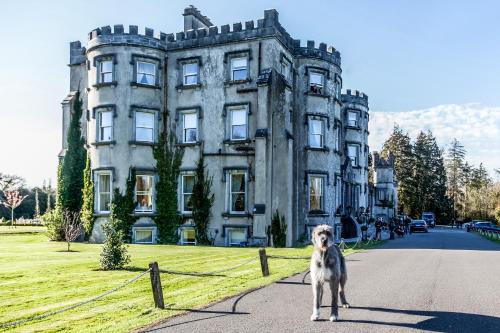 Фотографии гостиницы 
            Ballyseede Castle