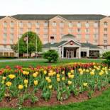 Фотография гостиницы Hilton Garden Inn Albany Airport