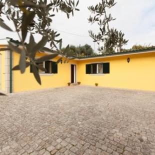 Фотографии гостевого дома
Casa dos Limoeiros em Ribas