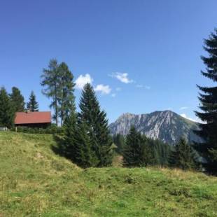 Фотографии гостевого дома 
            Jagdhütte Gammeringalm