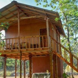 Фотография мини отеля Sigiri Free View Tree House