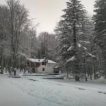 Фотография гостевого дома Chalet Il Cristallo-Monte Amiata