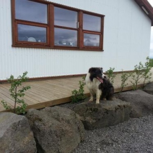 Фотография хостела Skálinn between Gullfoss and Geysir - Myrkholt Farm