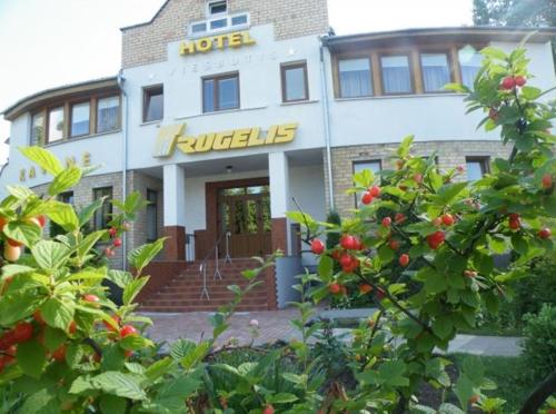 Фотография апарт отеля Rugelis