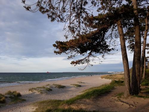 Фотографии гостевого дома 
            Strandbungalow