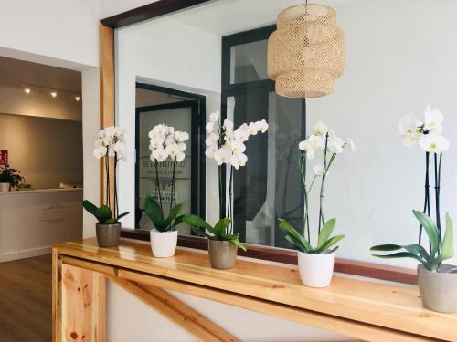 Фотография гостиницы El Hotelito 27