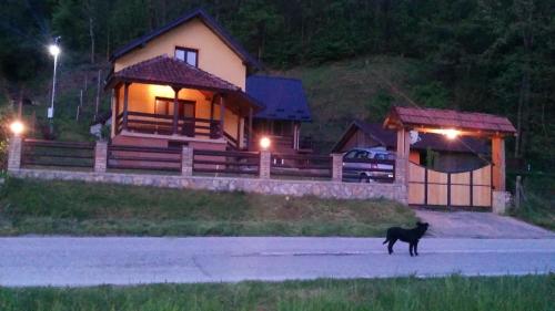 Фотография гостевого дома VIKENDICA AVRAMOVIC