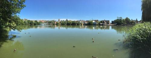 Фотография гостиницы The Park Hotel