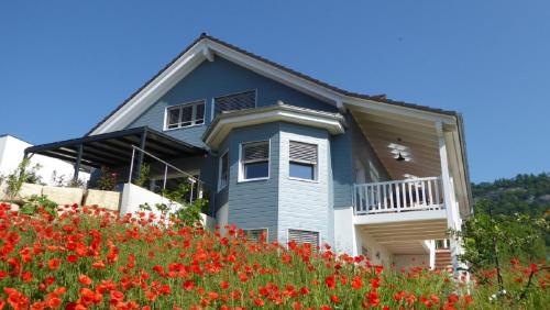 Фотография мини отеля B+B Passifleur