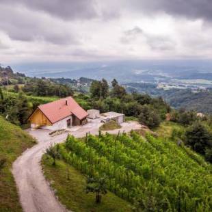 Фотографии гостевого дома 
            Vineyard cottage Škatlar 3