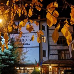 Фотографии гостиницы 
            Family Hotel Bansko Sofia