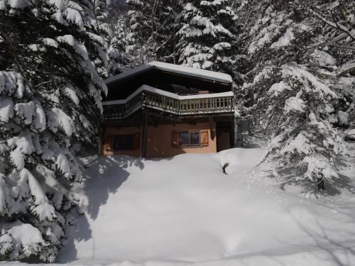 Фотография гостевого дома LE TRAPPEUR Chalet en bois