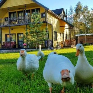 Фотография гостевого дома Дом для отпуска Святое Озеро