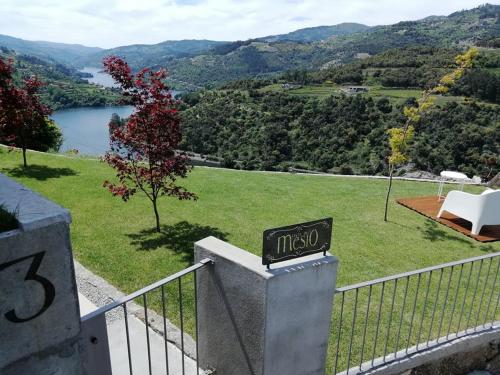Фотография гостевого дома Douro Mesio Guest House