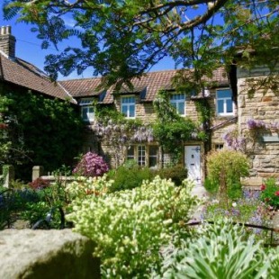 Фотография гостевого дома Teviot Cottage, Corbridge