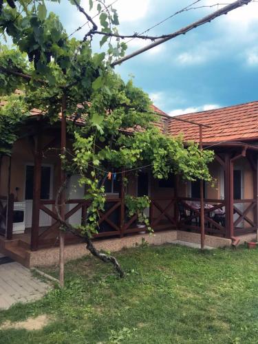 Фотография гостевого дома Элеон