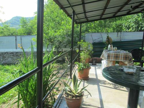 Фотография гостевого дома Guest House Village Khvanchkara