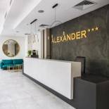 Фотография гостиницы Hotel Alexander