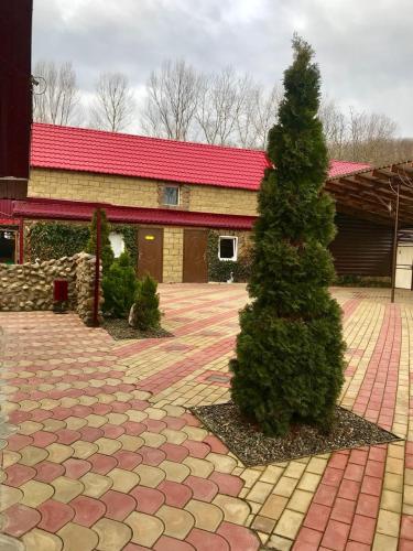 Фотография мини отеля Ковчег у реки