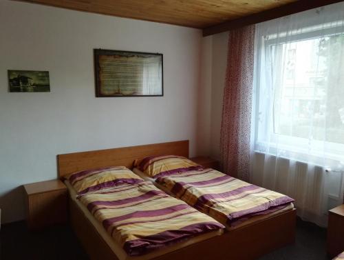 Фотография гостевого дома Penzion Tenis