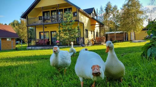 Фотография гостевого дома Дом для отпуска Святое Озеро