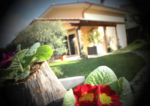 Фотография мини отеля B&B L'Ulivo