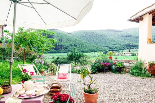 Фотография базы отдыха Bioagriturismo Podere Montisi