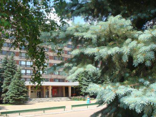 Фотография гостиницы Центральная