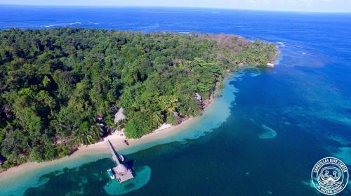 Фотографии гостиницы 
            Al Natural Resort