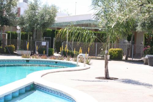 Фотография гостиницы Hotel Playa Canet