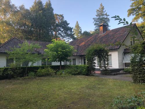 Фотография мини отеля Modern Palace B&B Emma Staete