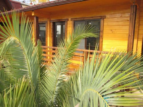 Фотография гостевого дома У Олимпийского парка