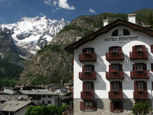 Фотография гостиницы Hotel Berthod