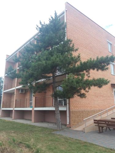 Фотография гостиницы Пальмира