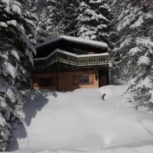 Фотографии гостевого дома 
            LE TRAPPEUR Chalet en bois