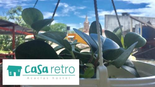 Фотографии гостевого дома 
            Casa Retro Acacias Hostel