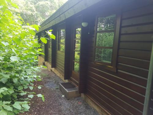 Фотография гостевого дома Bungalow; Haus 111 Ferienpark Twistesee, Bad Arolsen