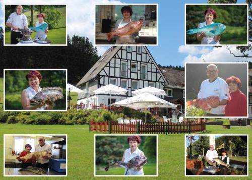 Фотография гостиницы Forellenhof