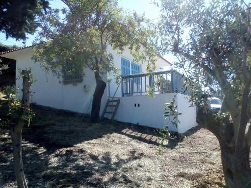 Фотография гостевого дома Blackmountain Sea Spot