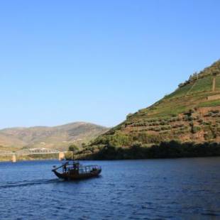 Фотографии хостела 
            Hostel Douro Backpackers