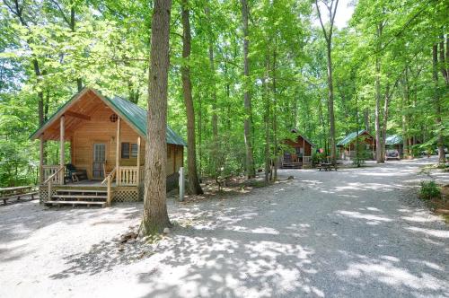 Фотография базы отдыха Spring Gulch Chalet 12