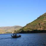 Фотография хостела Hostel Douro Backpackers