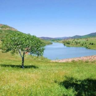 Фотографии гостевого дома 
            Casa Rural en El Cerro Del Búho