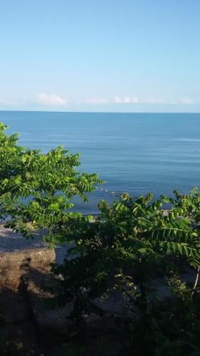 Фотография гостевого дома Ninoshvili 26