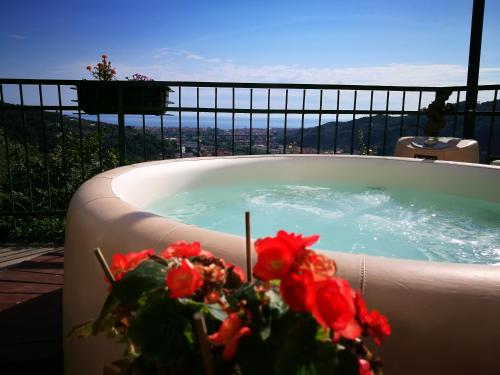 Фотография мини отеля La Terrazza Sui Fieschi