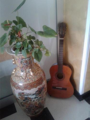 Фотография гостиницы Villa Adriana