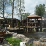 Фотография гостиницы Оазис в Лесу